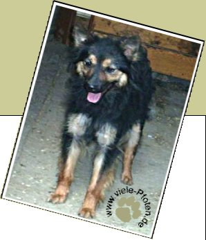 Bild : Julie