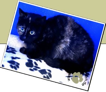 Bild : Delfina