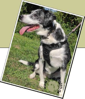 Bild : Kiara