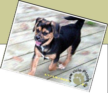 Bild : MacWin