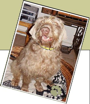 Bild : Rocco
