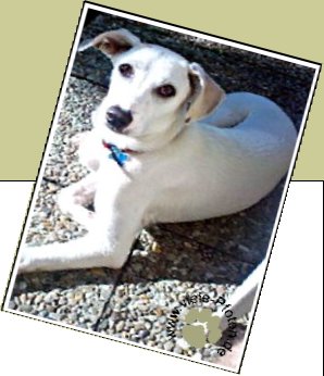 Bild : Wally
