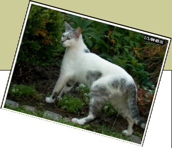 Bild : Benek