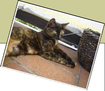 Bild : Mimi