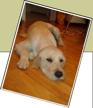 Bild : Paco
