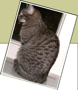 Bild : Florentine (Flo)