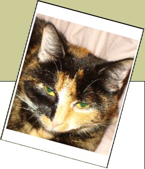 Bild : Mina