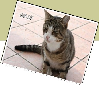Bild : Billi