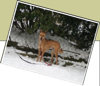 Bild : Bonny