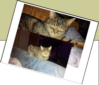 Bild : Maila / Haihappen